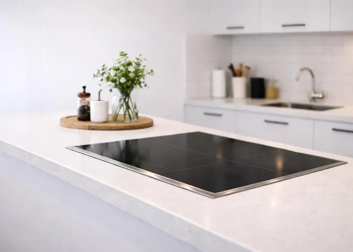 Ahostay * روتردام